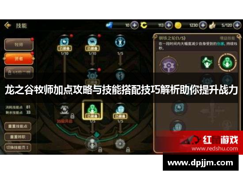 龙之谷牧师加点攻略与技能搭配技巧解析助你提升战力 龙之谷牧师加点攻略与技能搭配技巧解析助你提升战力