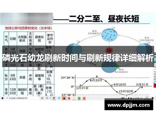 磷光石幼龙刷新时间与刷新规律详细解析 磷光石幼龙刷新时间与刷新规律详细解析